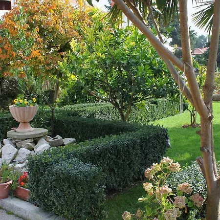 - Diklo 5880e Ζαντάρ