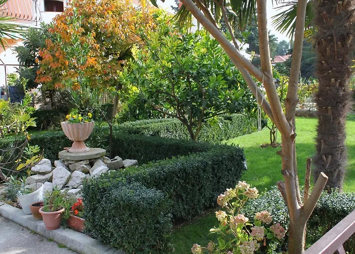 - Diklo 5880e Ζαντάρ